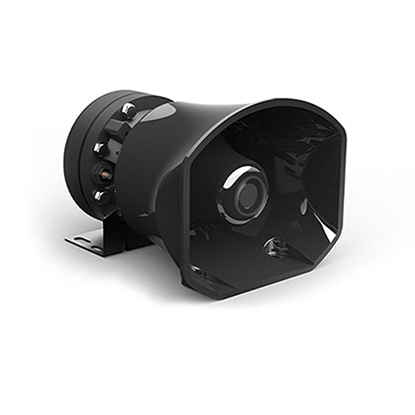 100-Watt Cone Speaker